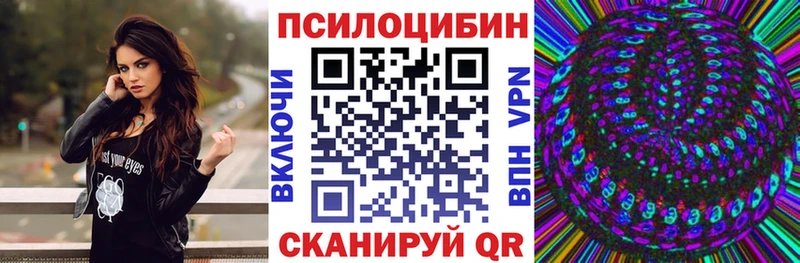 купить наркотик  Черемхово  Псилоцибиновые грибы мухоморы 